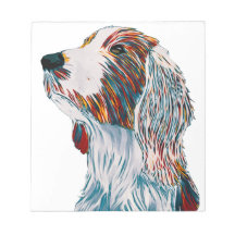 Welsh Springer Spain Art