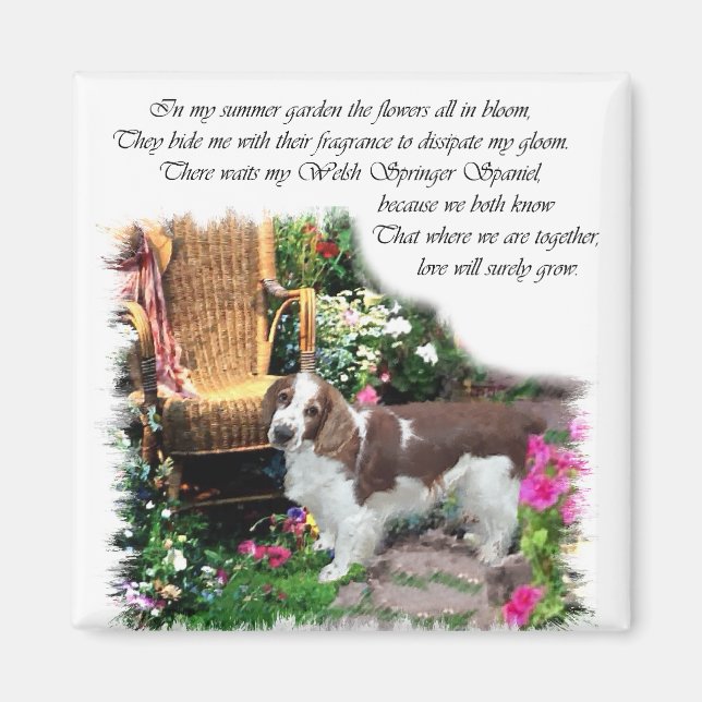 Welsh Springer Spain Art Gifts Magnet (Framsidan)