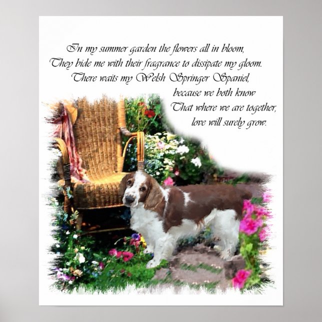 Welsh Springer Spain Art Print Poster (Framsidan)