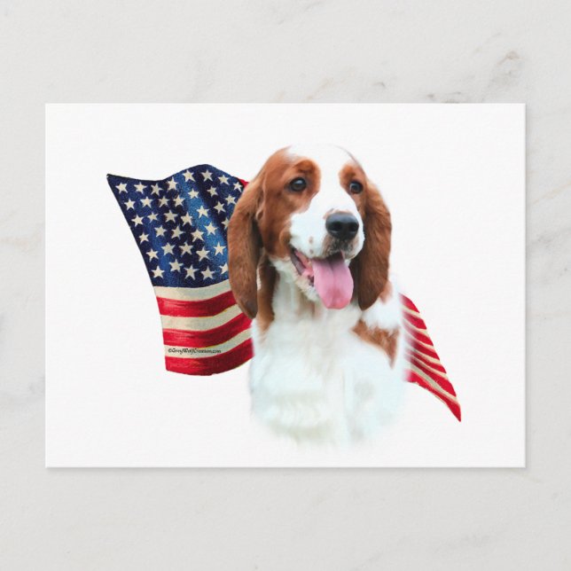 Welsh Springer Spain Flagga Vykort (Framsida)