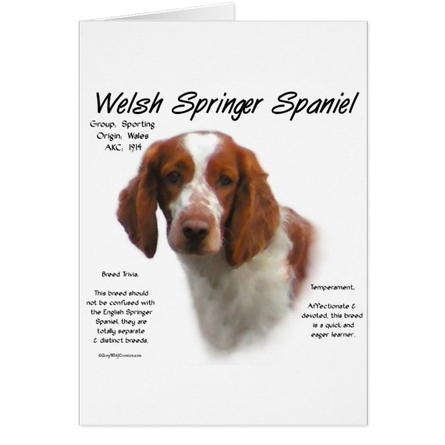Welsh Springer Spain History Design Hälsningskort (Framsidan)