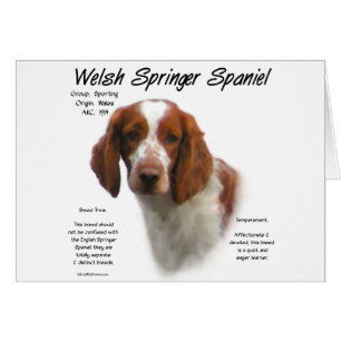 Welsh Springer Spain History Design Hälsningskort