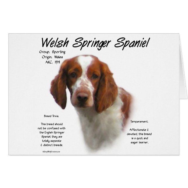Welsh Springer Spain History Design Hälsningskort (Framsidan Horizontal)