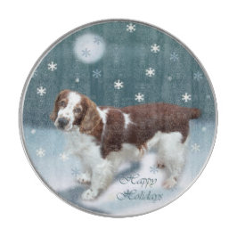 Welsh Springer Spain jul