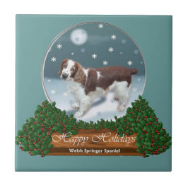 Welsh Springer Spain jul Kakelplatta