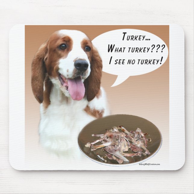 Welsh Springer Spain Turkey Musmatta (Framsidan)