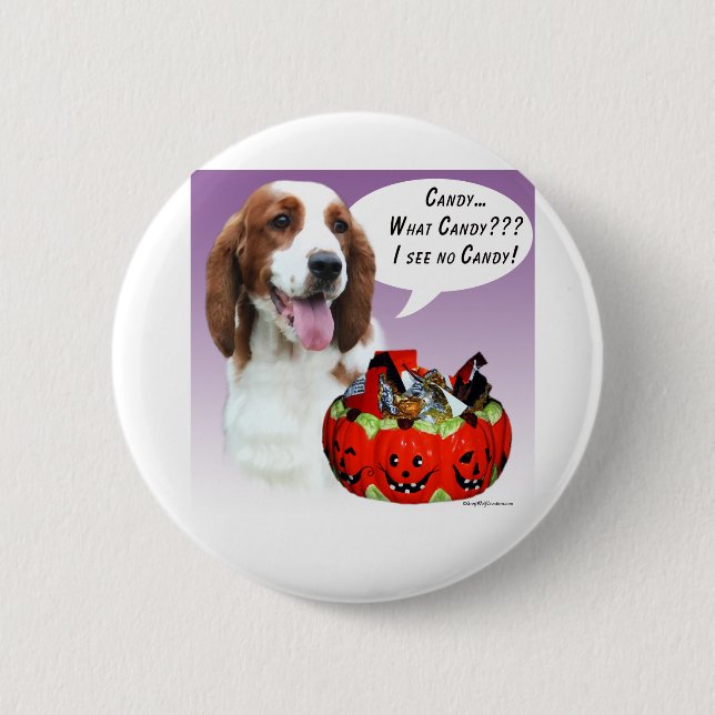 Welsh Springer spanel Halloween Candy Knapp (Framsida)
