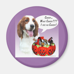 Welsh Springer spanel Halloween Candy Magnet