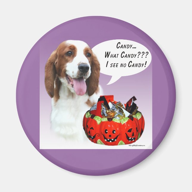 Welsh Springer spanel Halloween Candy Magnet (Framsidan)