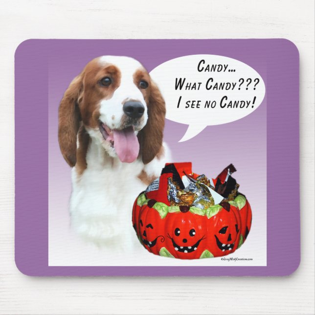 Welsh Springer spanel Halloween Candy Musmatta (Framsidan)