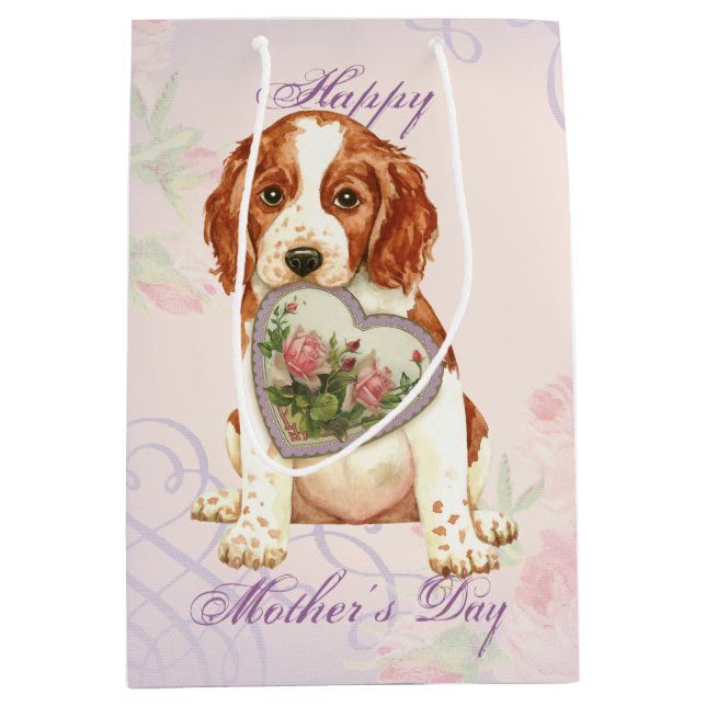 Welsh Springer spanel Heart Mamma (Framsidan)