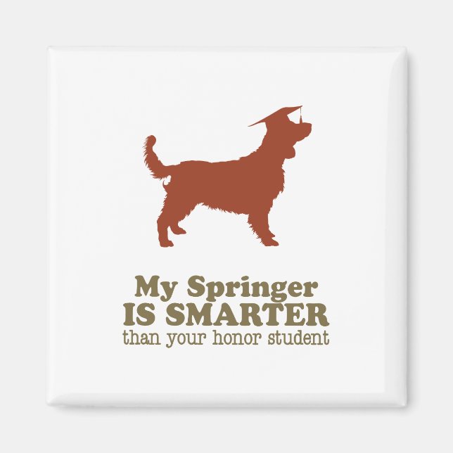 Welsh Springer spanel Magnet (Framsidan)