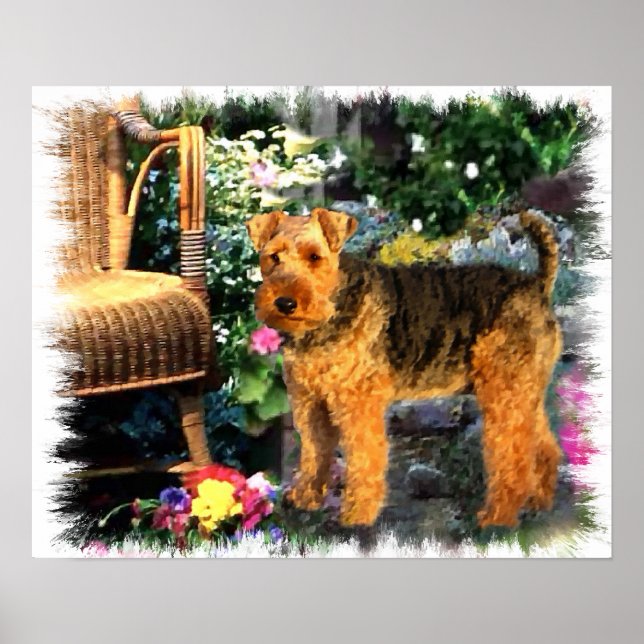 Welsh Terrier Art Print Poster (Framsidan)