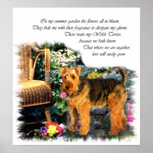 Welsh Terrier Art Print Poster