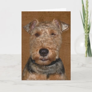 Welsh Terrier Birthday Humor Kort