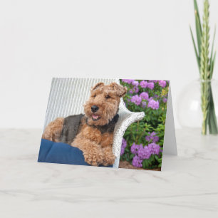Welsh Terrier Birthday Kort