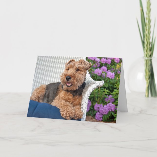 Welsh Terrier Birthday Kort (Framsida)