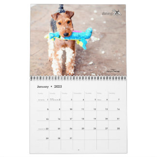 Welsh Terrier Calendar Kalender