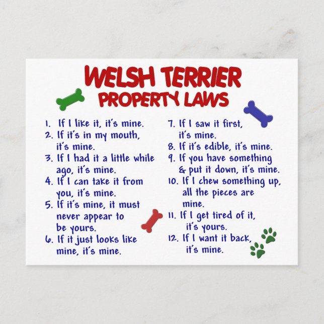 WELSH TERRIER Egendom LAGSTIFTNING 2 Vykort (Framsida)