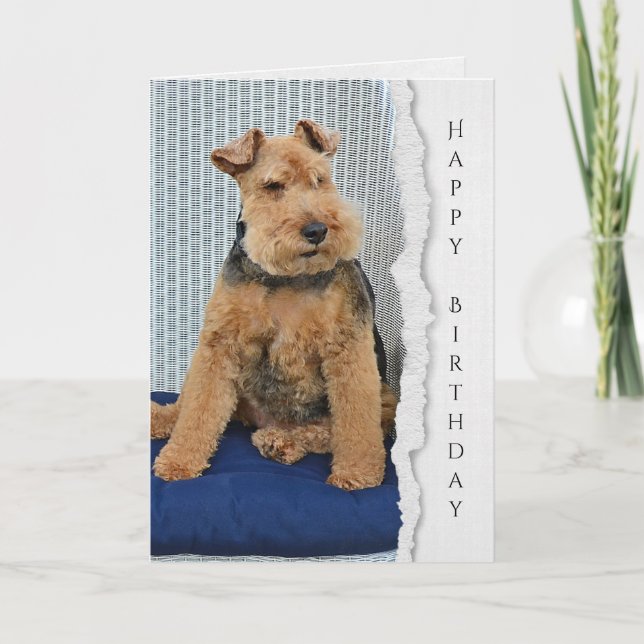 Welsh Terrier-födelsedagskort Kort (Framsida)