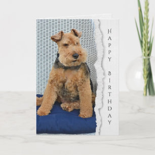 Welsh Terrier-födelsedagskort Kort