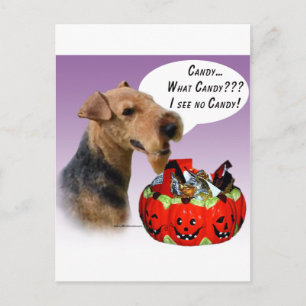 Welsh Terrier Halloween Candy Vykort