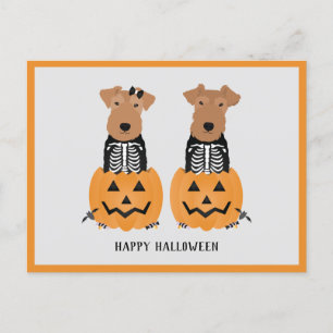 Welsh Terrier Halloween Skeleton Helg Vykort