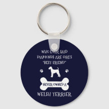 Welsh Terrier Hund Best Friend