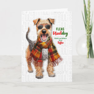 Welsh Terrier Hund Roliga Loppor Navidog med Namn Helgkort