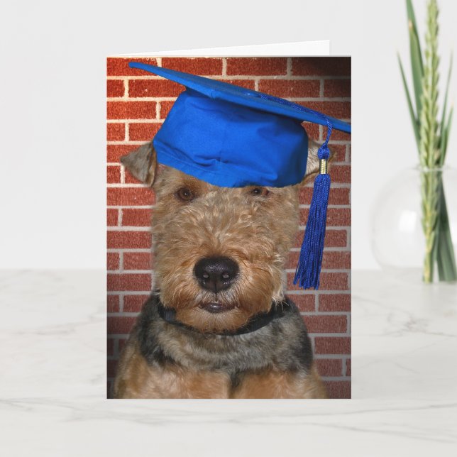 Welsh Terrier Hund student Kort (Framsida)