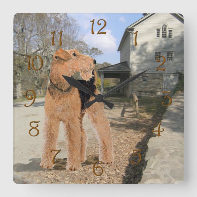 Welsh Terrier i stallgården Fyrkantig Klocka (Framsida)