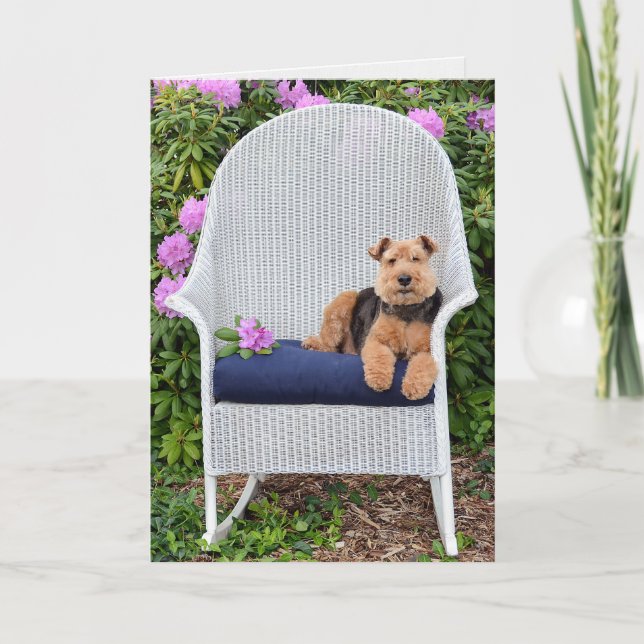 Welsh Terrier i trädgård Kort (Framsida)