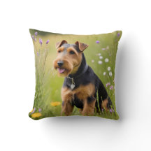 Welsh Terrier i Wildblomskugga
