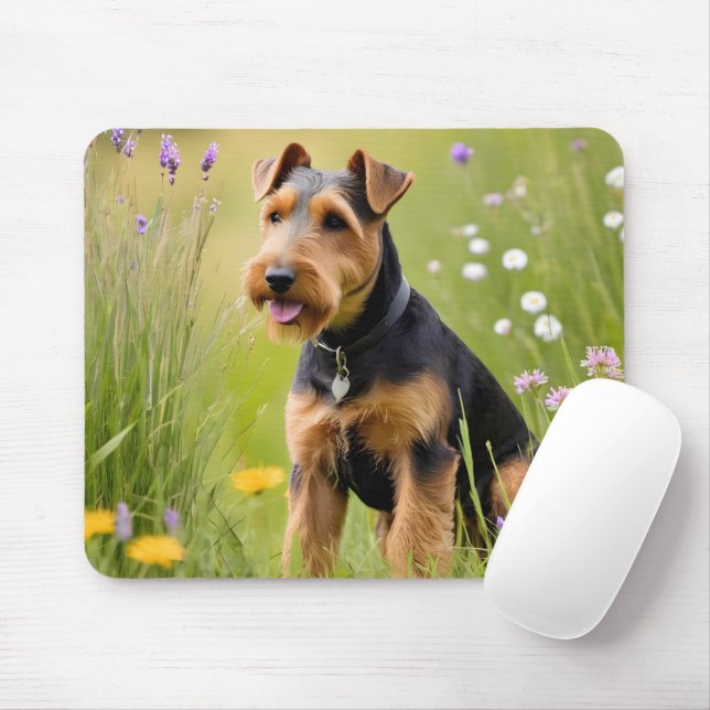 Welsh Terrier i Wildblomskugga Musmatta (Med mus)