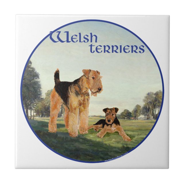 Welsh Terrier Kakelplatta (Framsidan)