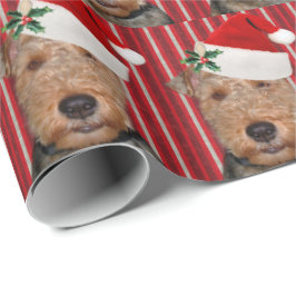 Welsh Terrier med Jultomten hat Presentpapper