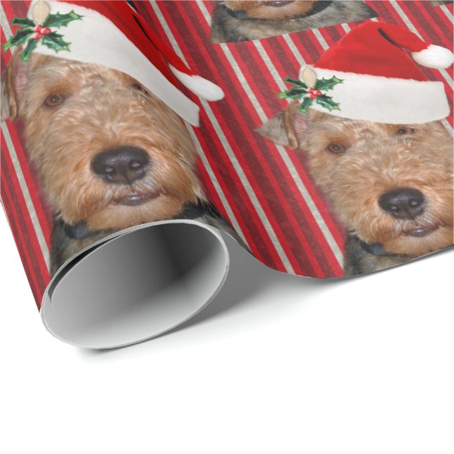 Welsh Terrier med Jultomten hat Presentpapper (Rullad Hörn)