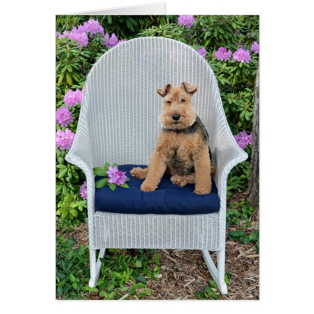 Welsh Terrier på korgstol Hälsningskort (Framsidan)