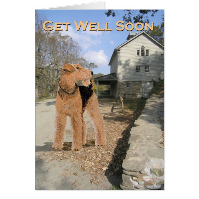 Welsh Terrier på stallgården Hälsningskort (Framsidan)