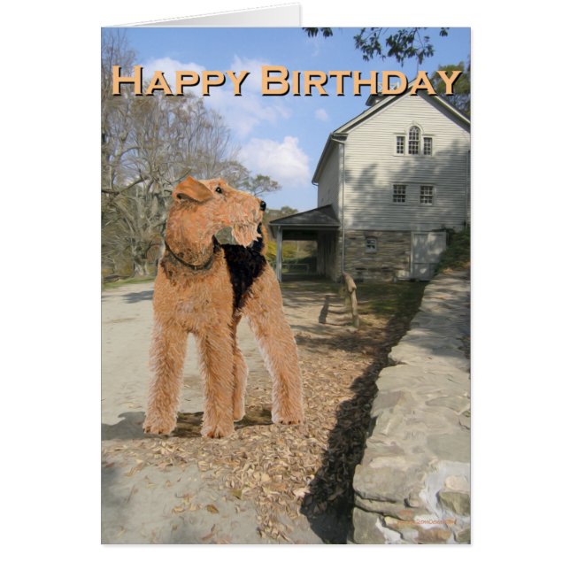 Welsh Terrier på stallgården Hälsningskort (Framsidan)