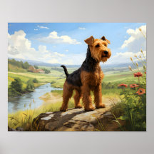 Welsh Terrier på utsidan