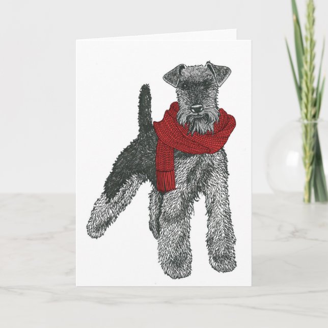 Welsh Terrier, Red. Kort (Framsida)