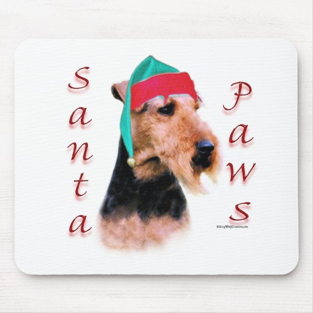 Welsh Terrier Santa Tassar Musmatta (Framsidan)