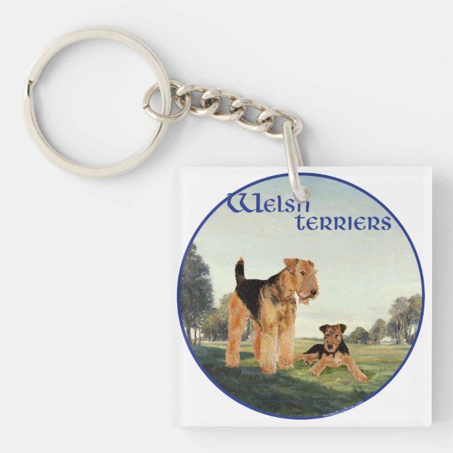 Welsh Terriers (Framsidan)