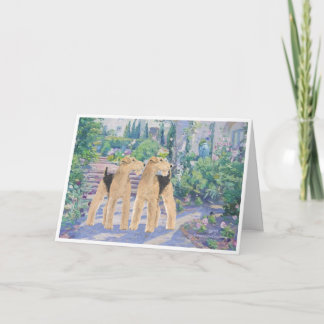 Welsh Terriers i en lavendertuin Kort