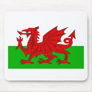 Welsh/Wales Flagga - Cymru High Quality Image Musmatta