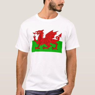 Welsh/Wales Flagga - Cymru High Quality Image T Shirt