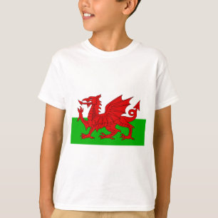 Welsh/Wales Flagga - Cymru High Quality Image T Shirt