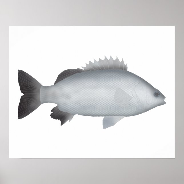 Welsh's Grunter Poster (Framsidan)