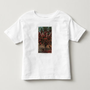 Wenatchee dalApple för WAA Wenatchee träd T-shirt